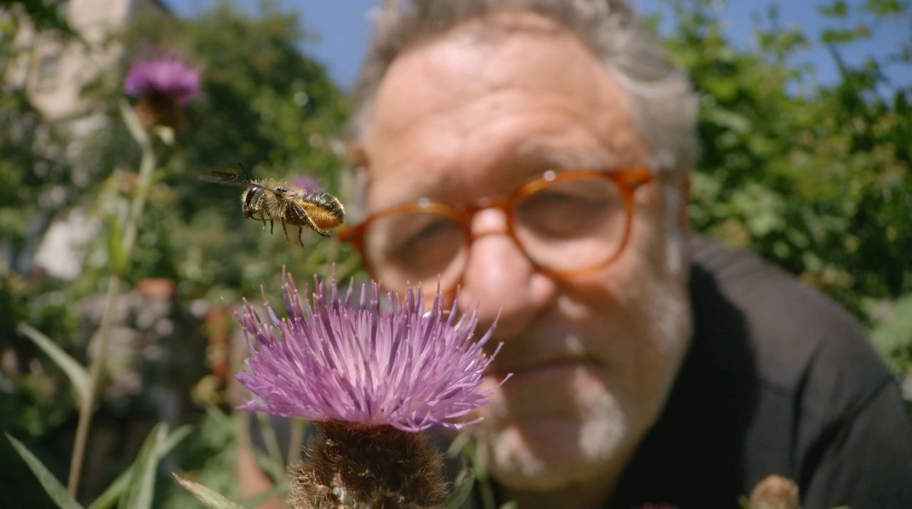My Garden of a Thousand Bees
